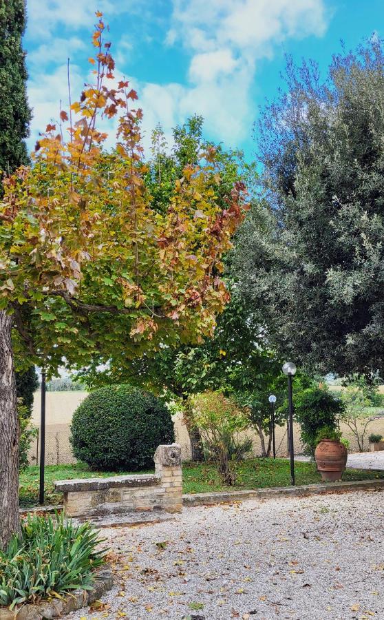 Le Case Dell'Olmo Assisi Buitenkant foto