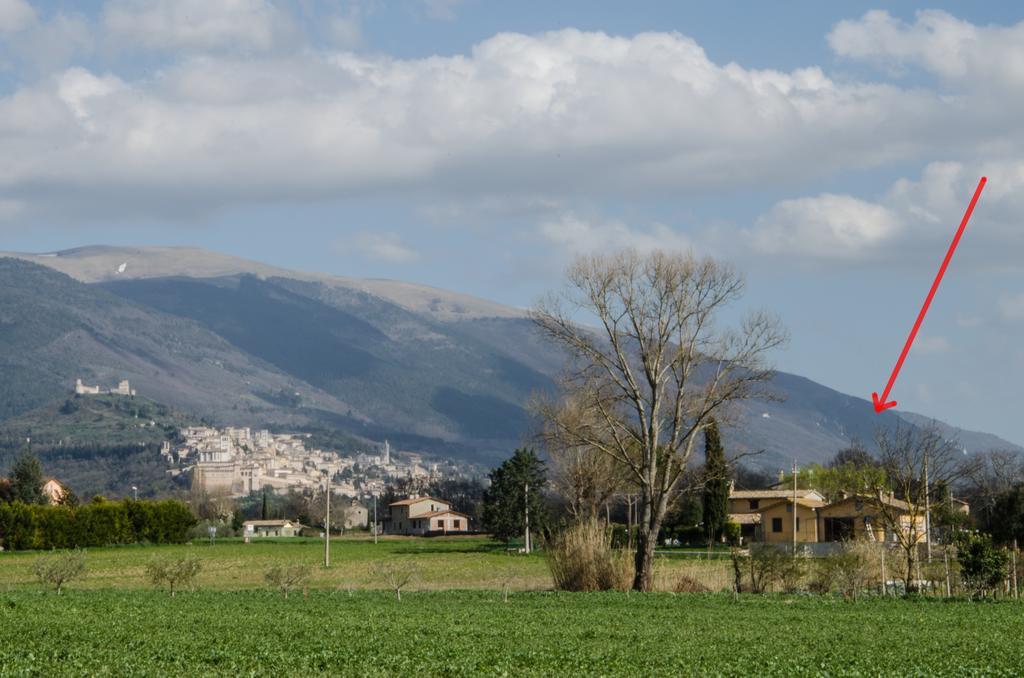Le Case Dell'Olmo Assisi Buitenkant foto