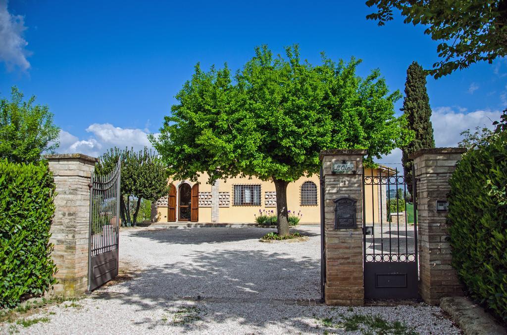 Le Case Dell'Olmo Assisi Buitenkant foto